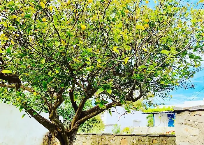 Limni No 2 Self Catering * Posidhonía